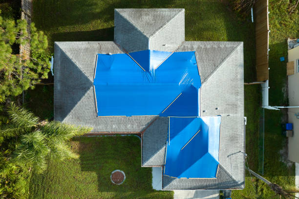 Best Asphalt Shingle Roofing  in Church Rock, NM
